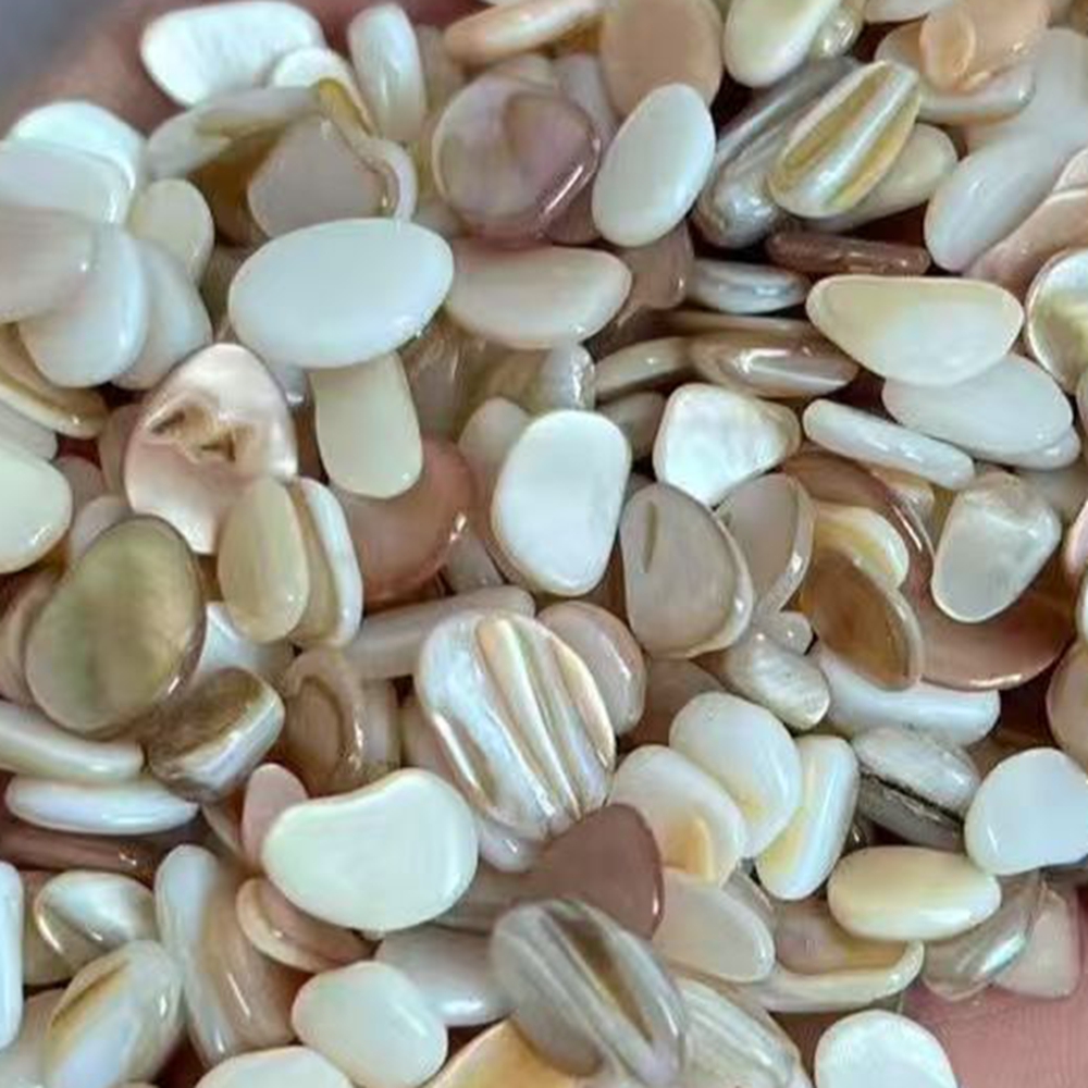 Aquarium Sand White - 50 قطعة من رقائق الصدف الطبيعي