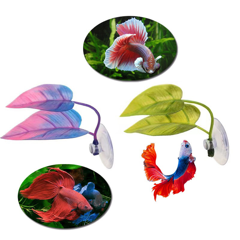 Planted Aquarium For Betta - نباتات مائية اصطناعية لتزيين أحواض السمك،