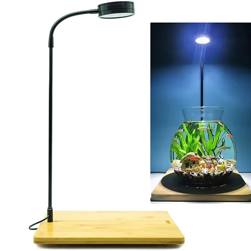 Planted Aquarium For Betta - إضاءة LED كاملة الطيف مع لوحة