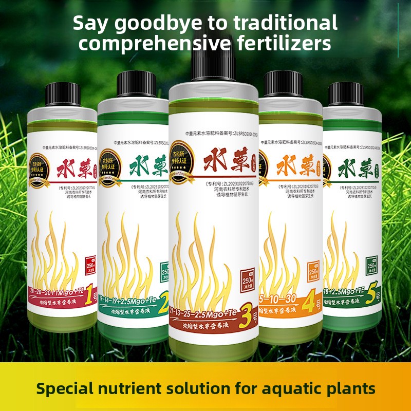 Planted Aquarium Carpet Plant - سماد نباتات حوض السمك - تغذية