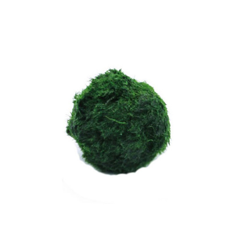 Aquarium Plant Roots - ماريمو كرات الطحلب حوض السمك نبات