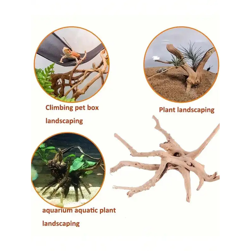 خشب طبيعي عائم لتزيين أحواض ال - مراجعة Aquarium Plant Roots وسعره