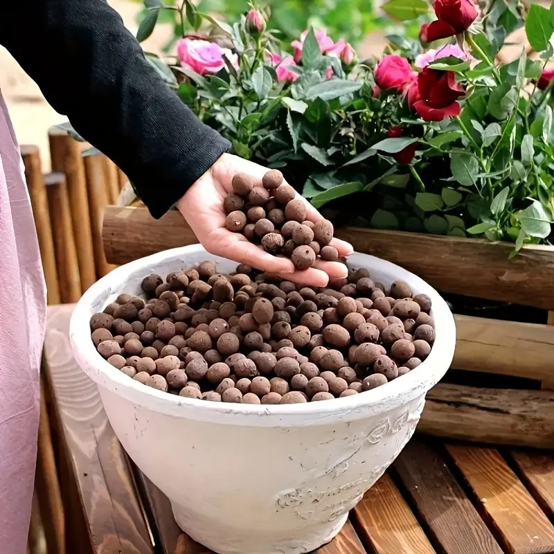 حبيبات تيراكوتا خفيفة الوزن وج - مراجعة Aquarium Planted Plants وسعره