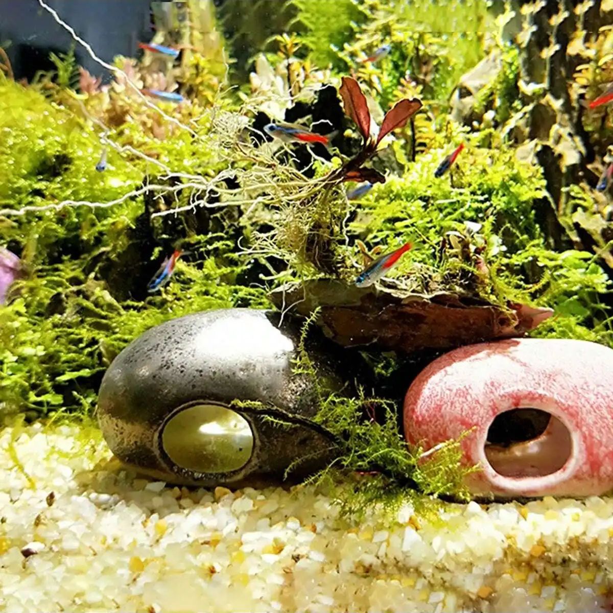 1 قطعة-250 جرام بلورات الطبيعي - مراجعة Aquarium Plant Gravel وسعره