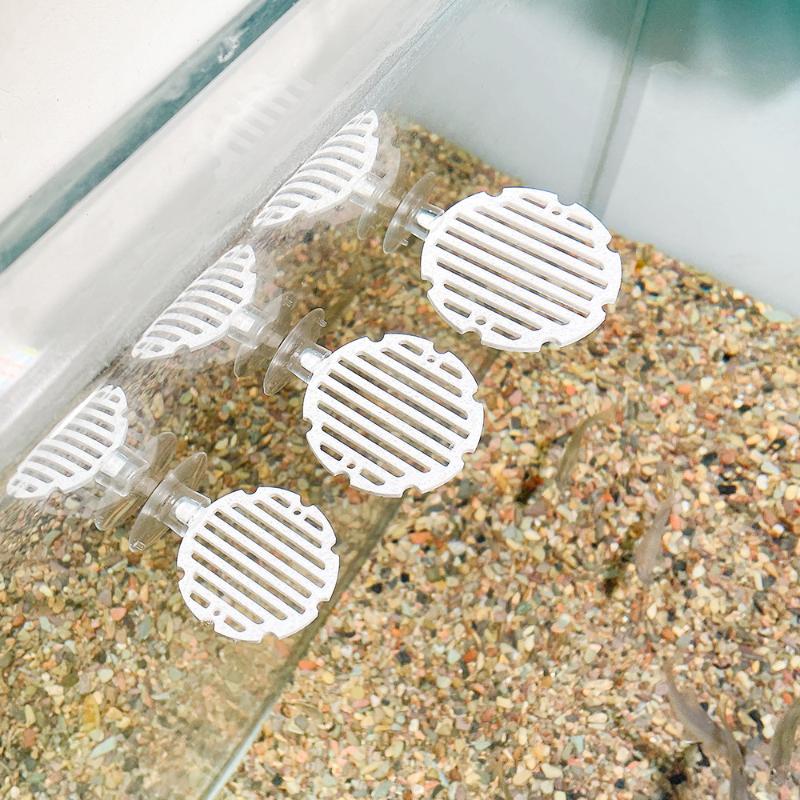 حوض سمك بلاستيكي، شبكة صناعية، - مراجعة Planted Aquarium For Betta وسعره