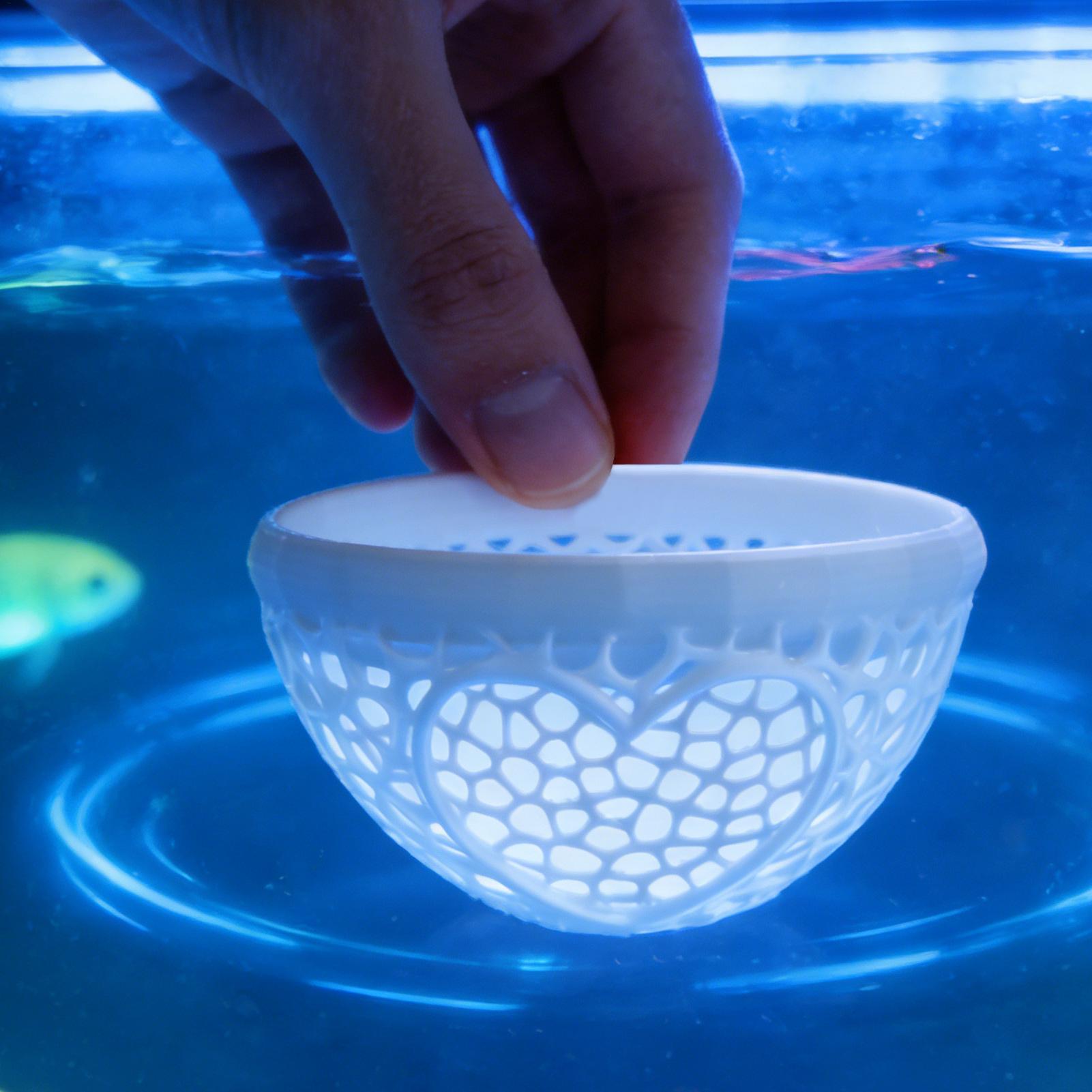 مأوى عائم لسمك البيتا، أرجوحة  - مراجعة Planted Aquarium For Betta وسعره