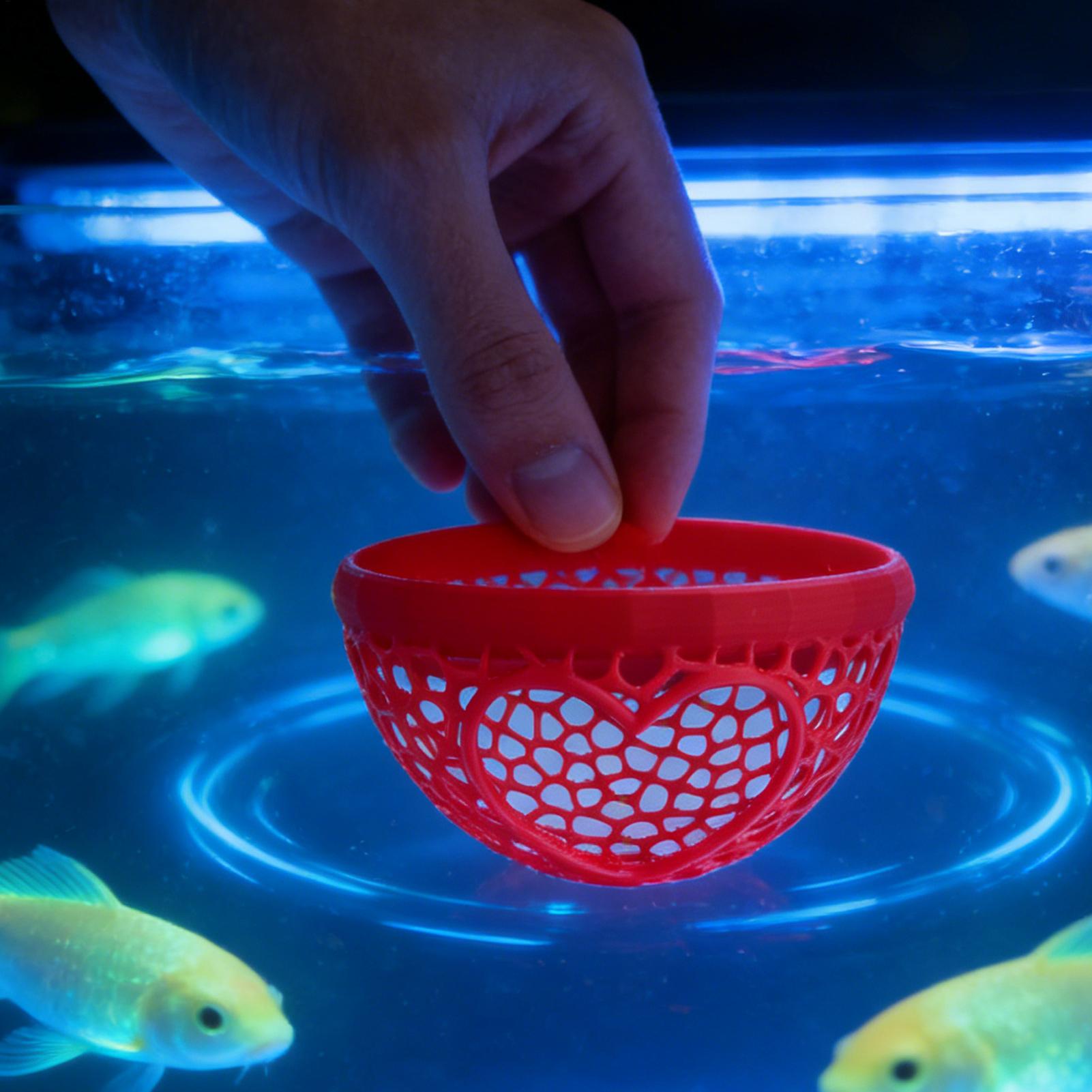 مأوى عائم لسمك البيتا، أرجوحة  - مراجعة Planted Aquarium For Betta وسعره