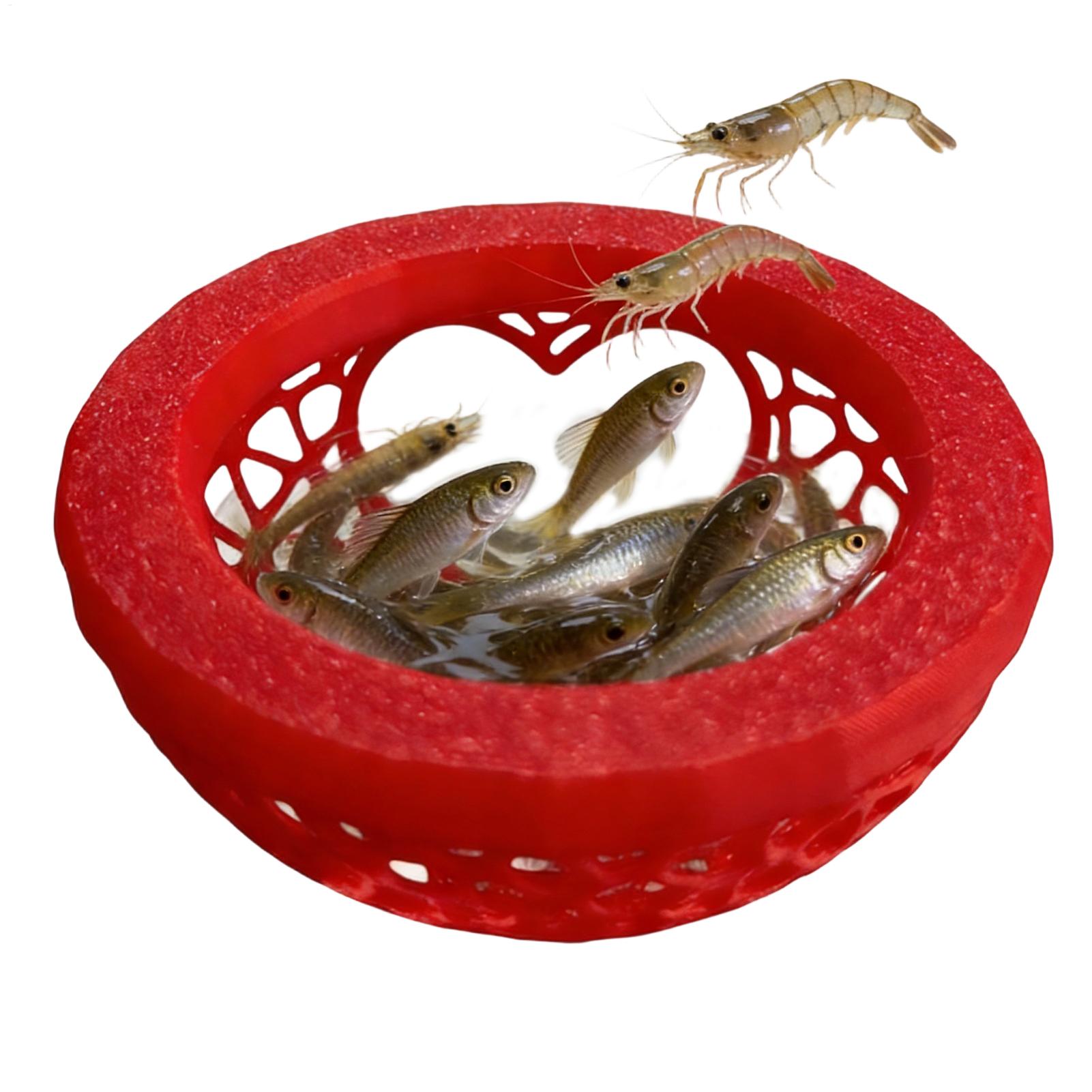 مأوى عائم لسمك البيتا، أرجوحة  - مراجعة Planted Aquarium For Betta وسعره
