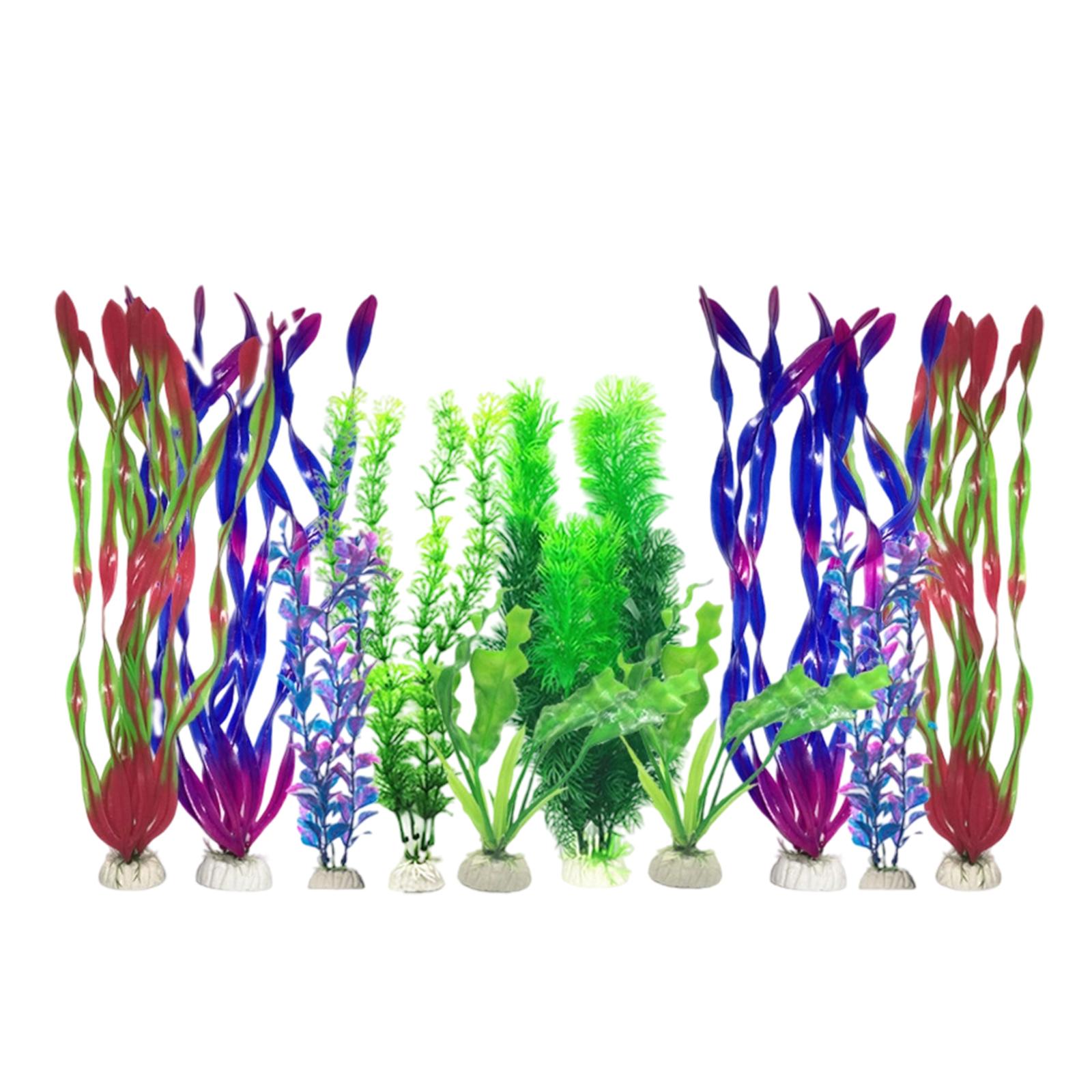 مجموعة نباتات اصطناعية لأحواض  - مراجعة Planted Aquarium For Betta وسعره