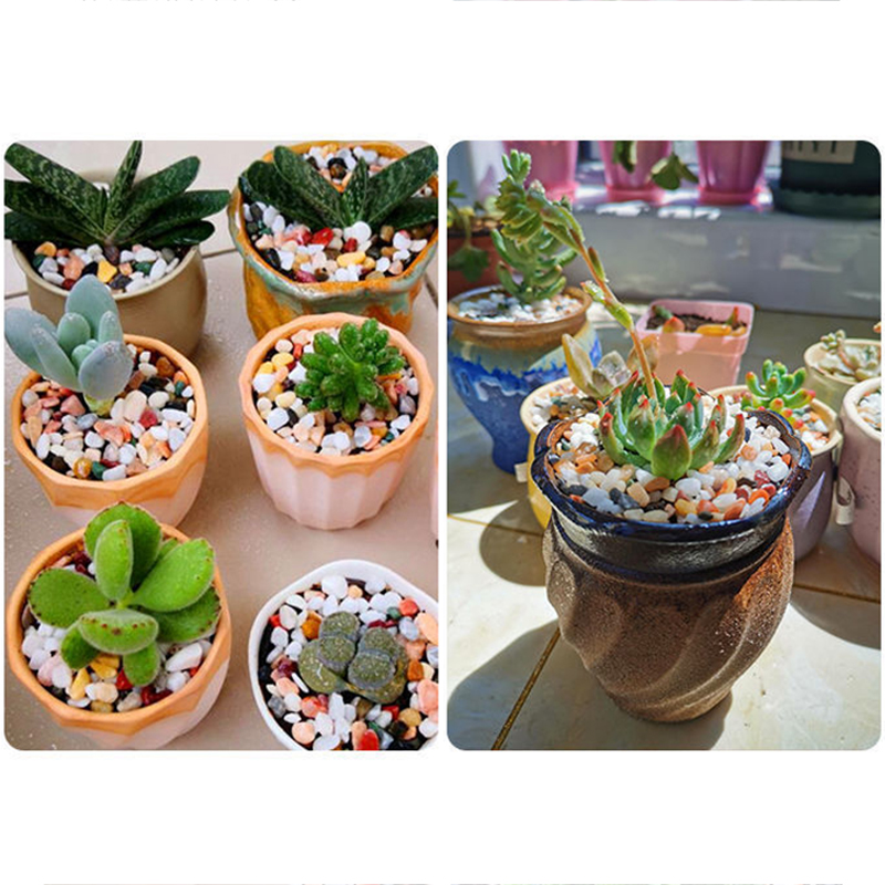 رمل طبيعي لأحواض السمك بحجم 5  - مراجعة Aquarium Plant Gravel وسعره