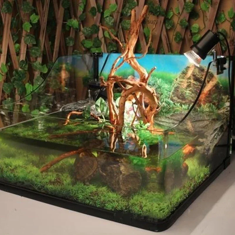 شجرة طبيعية جذع Driftwood لحوض - مراجعة Aquarium Plant Roots وسعره