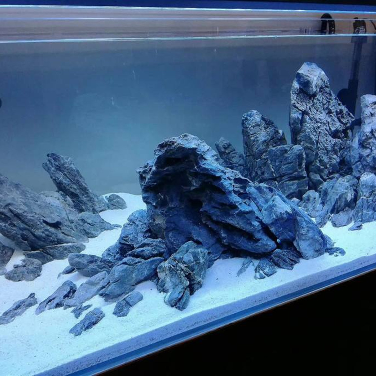 500 جرام من رمل الكوارتز الأبي - مراجعة Aquarium Sand White وسعره