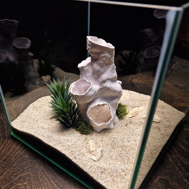 عرض ساخن: نفق مرجاني ثلاثي الأ - مراجعة Planted Aquarium For Betta وسعره