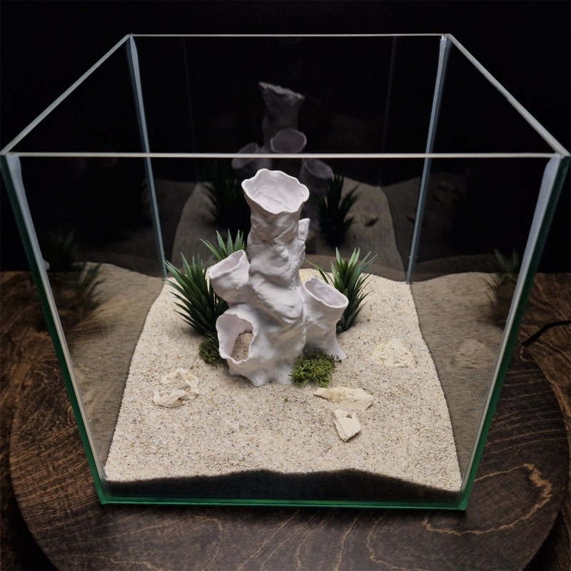 عرض ساخن: نفق مرجاني ثلاثي الأ - مراجعة Planted Aquarium For Betta وسعره