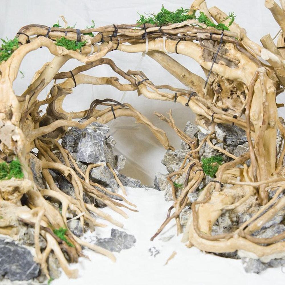 خشب N1N طبيعي لتزيين خلفية حوض - مراجعة Aquarium Plant Roots وسعره