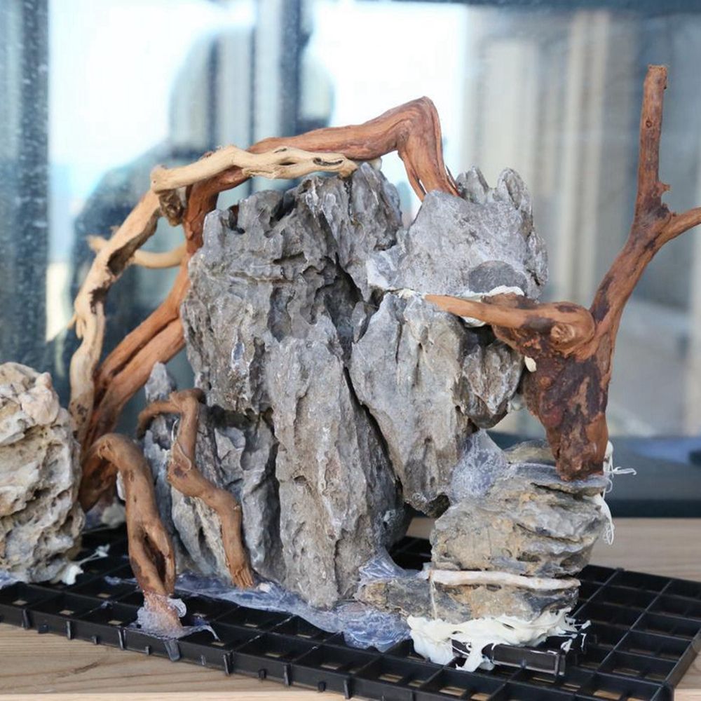 خشب N1N طبيعي لتزيين خلفية حوض - مراجعة Aquarium Plant Roots وسعره