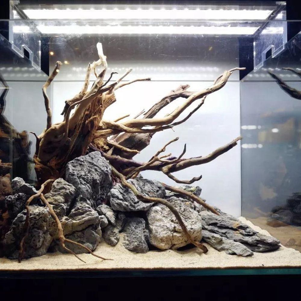 خشب N1N طبيعي لتزيين خلفية حوض - مراجعة Aquarium Plant Roots وسعره