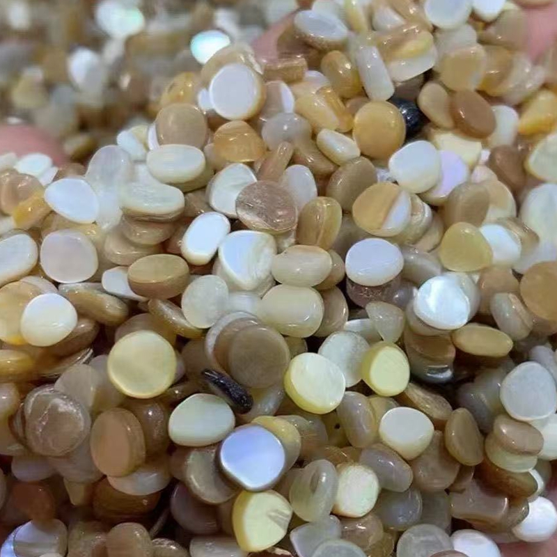 50 قطعة من رقائق الصدف الطبيعي - مراجعة Aquarium Sand White وسعره