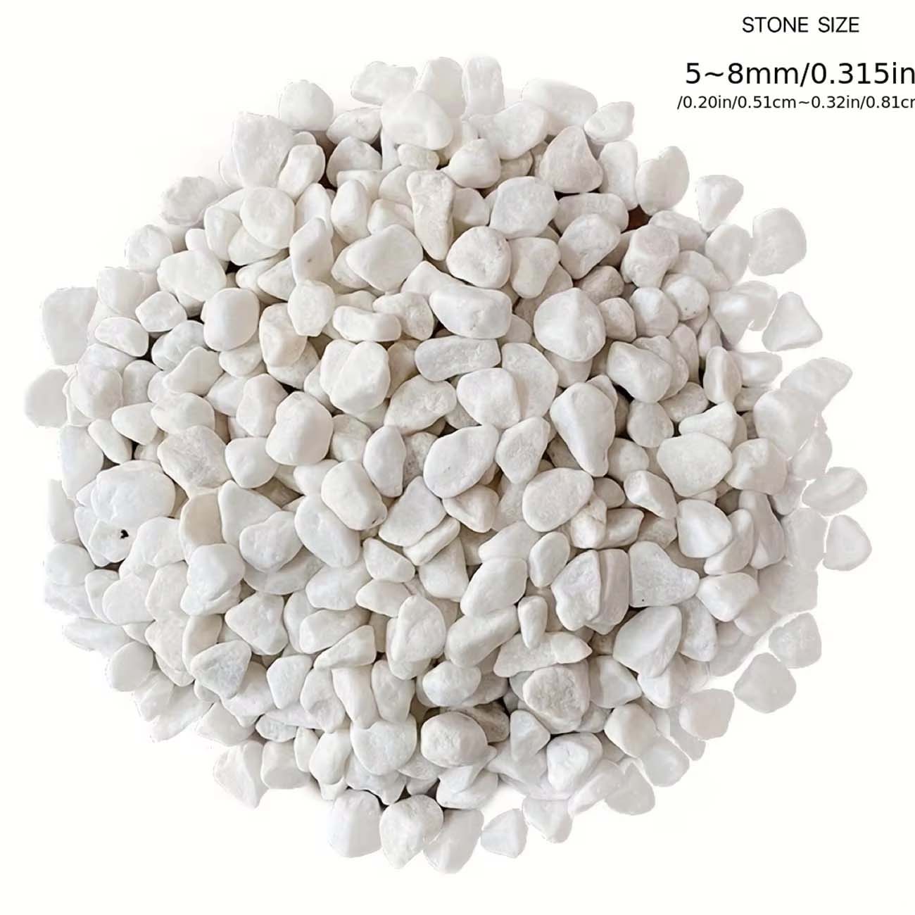 أحجار زخرفية بيضاء 100/200 جرا - مراجعة Aquarium Sand White وسعره