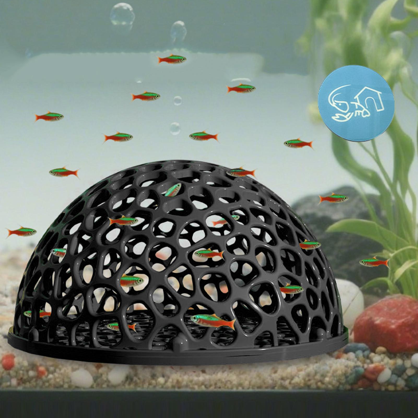 مأوى كهف مخفي لحوض السمك لتربي - مراجعة Aquarium Plant Roots وسعره