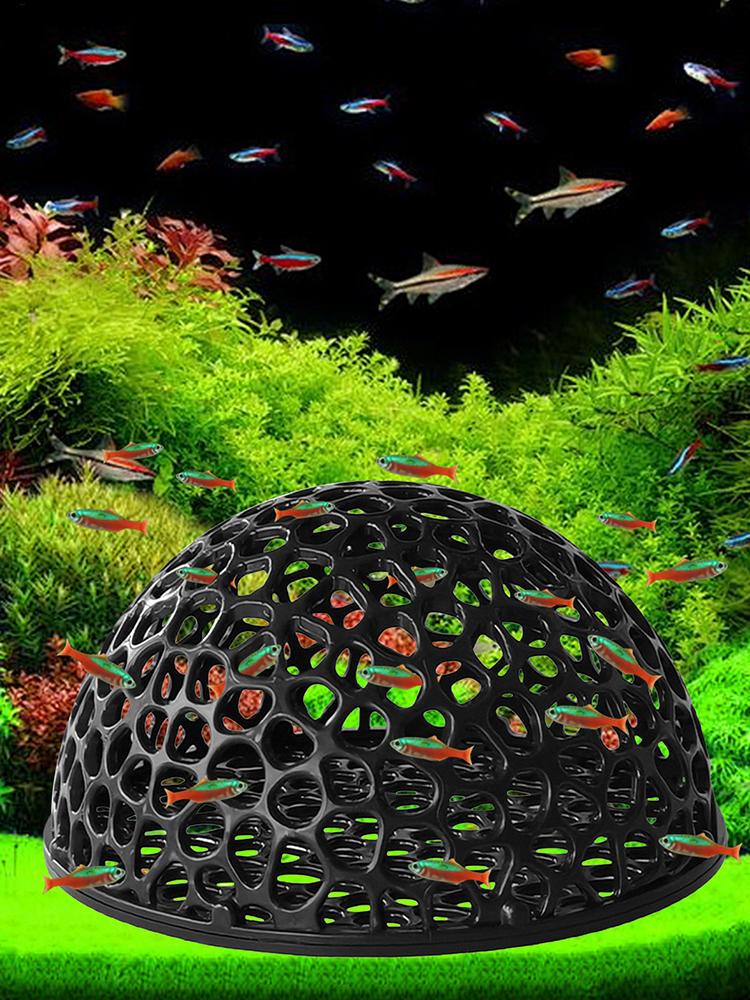 مأوى كهف مخفي لحوض السمك لتربي - مراجعة Aquarium Plant Roots وسعره