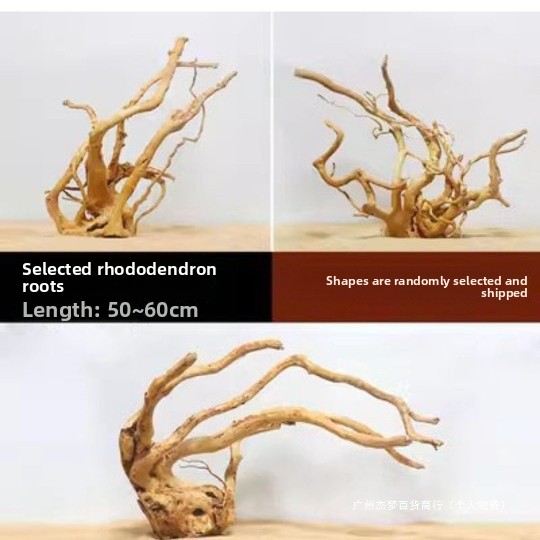 أغصان خشب طبيعية لتزيين أحواض  - مراجعة Aquarium Plant Roots وسعره