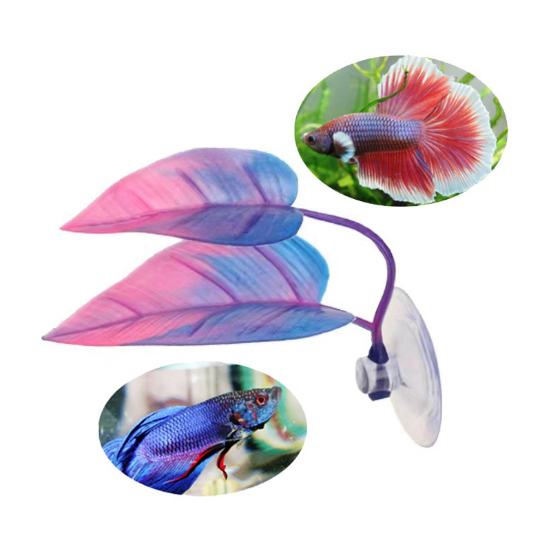 نباتات مائية اصطناعية لتزيين أ - مراجعة Planted Aquarium For Betta وسعره