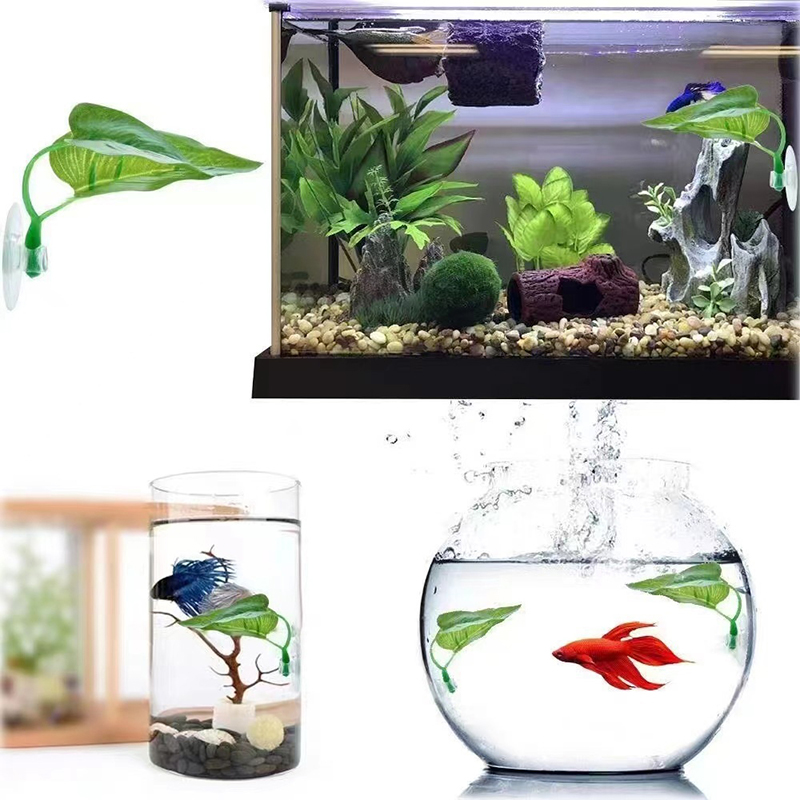 نباتات مائية اصطناعية لتزيين أ - مراجعة Planted Aquarium For Betta وسعره