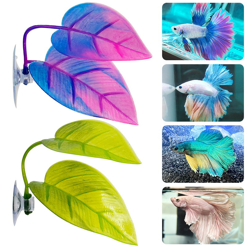 نباتات مائية اصطناعية لتزيين أ - مراجعة Planted Aquarium For Betta وسعره