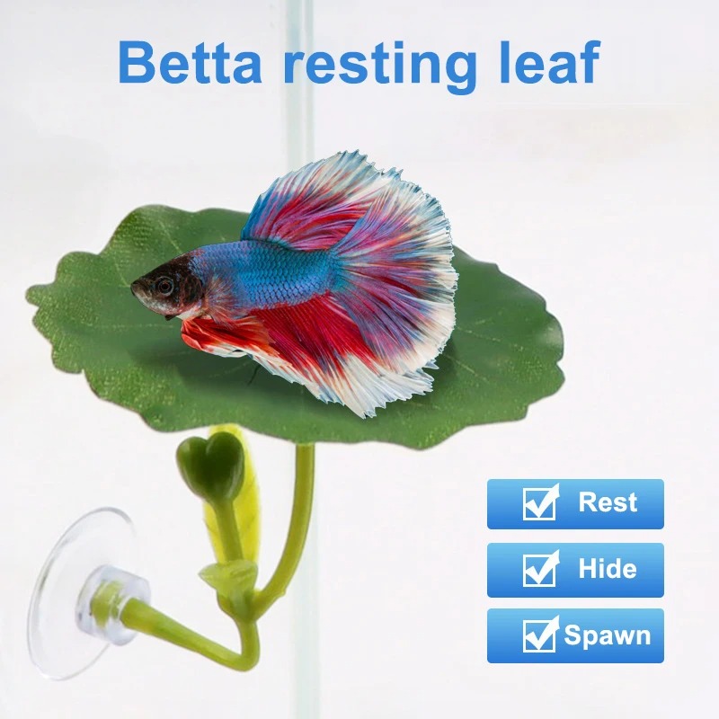 أرجوحة أوراق اصطناعية للبيتا م - مراجعة Aquarium Plant Roots وسعره