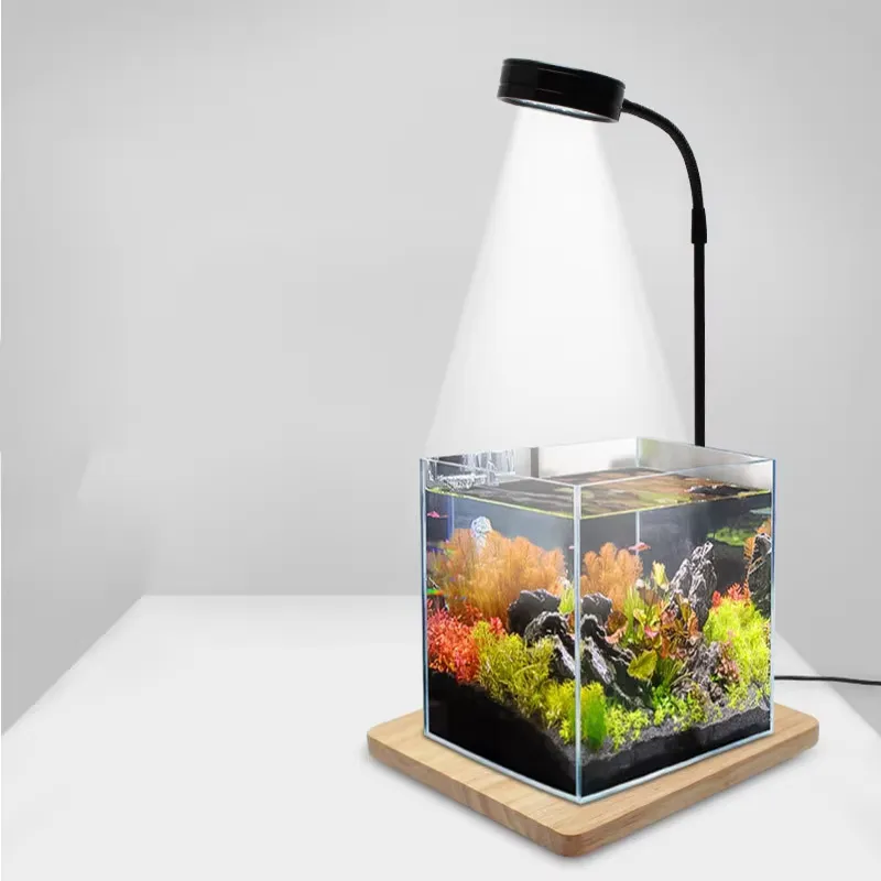إضاءة LED كاملة الطيف مع لوحة  - مراجعة Planted Aquarium For Betta وسعره