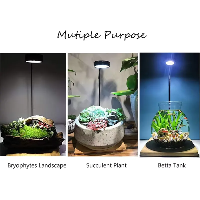 إضاءة LED كاملة الطيف مع لوحة  - مراجعة Planted Aquarium For Betta وسعره
