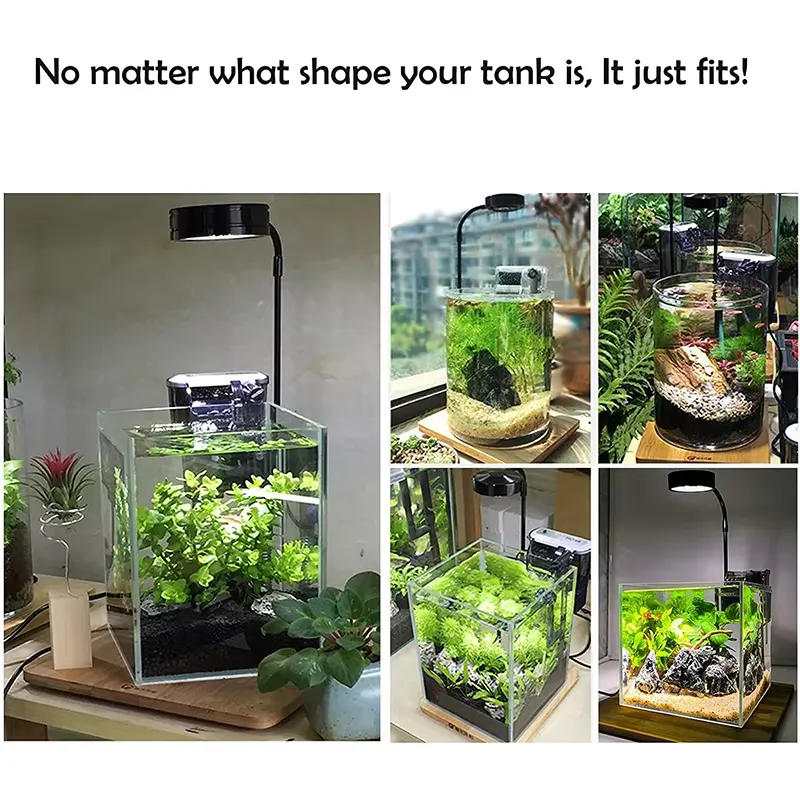 إضاءة LED كاملة الطيف مع لوحة  - مراجعة Planted Aquarium For Betta وسعره