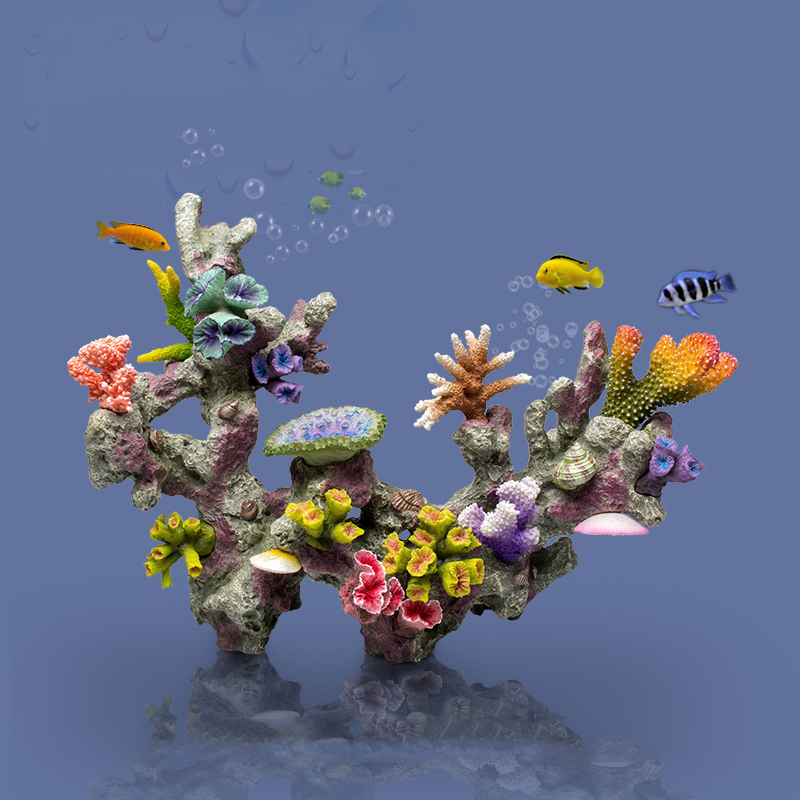 بيتا حوض السمك الحلي الكبيرة ا - مراجعة Planted Aquarium For Betta وسعره