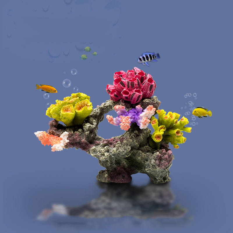 بيتا حوض السمك الحلي الكبيرة ا - مراجعة Planted Aquarium For Betta وسعره