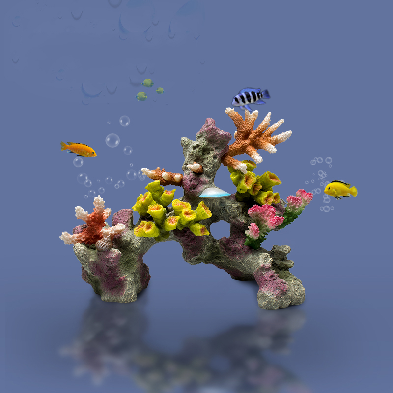 بيتا حوض السمك الحلي الكبيرة ا - مراجعة Planted Aquarium For Betta وسعره