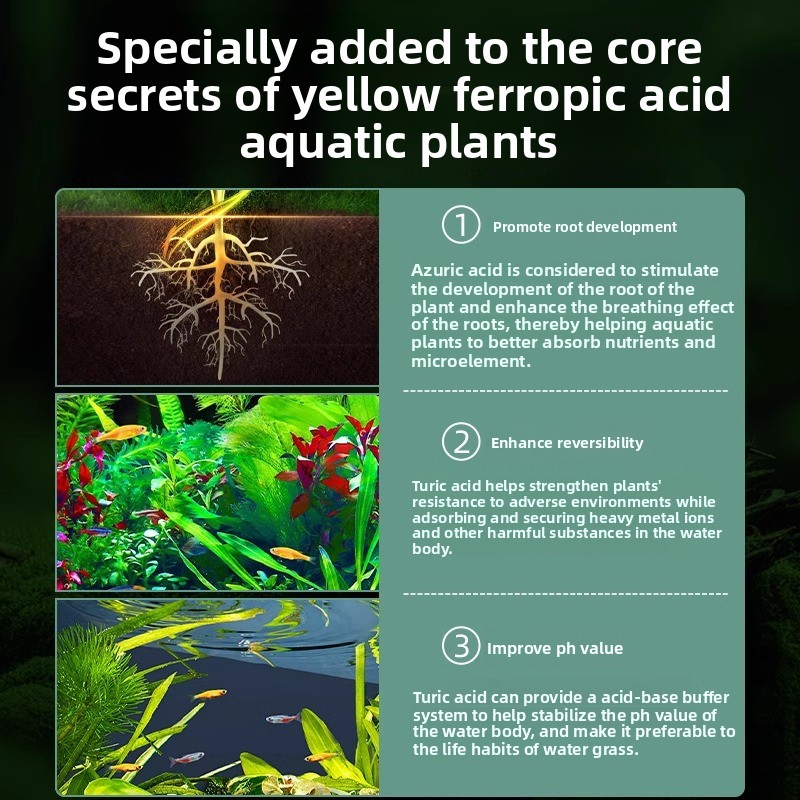 سماد نباتات حوض السمك - تغذية  - مراجعة Planted Aquarium Carpet Plant وسعره