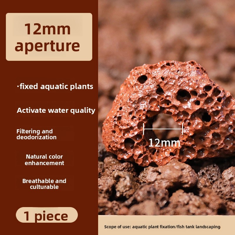 حلقة زراعة من حجر الحمم البركا - مراجعة Planted Aquarium Carpet Plant وسعره