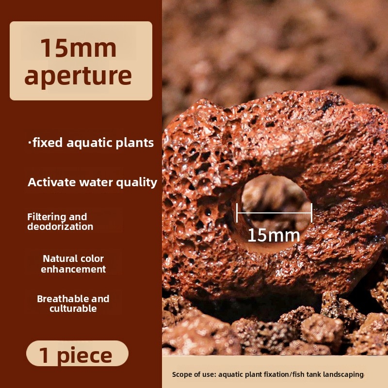 حلقة زراعة من حجر الحمم البركا - مراجعة Planted Aquarium Carpet Plant وسعره