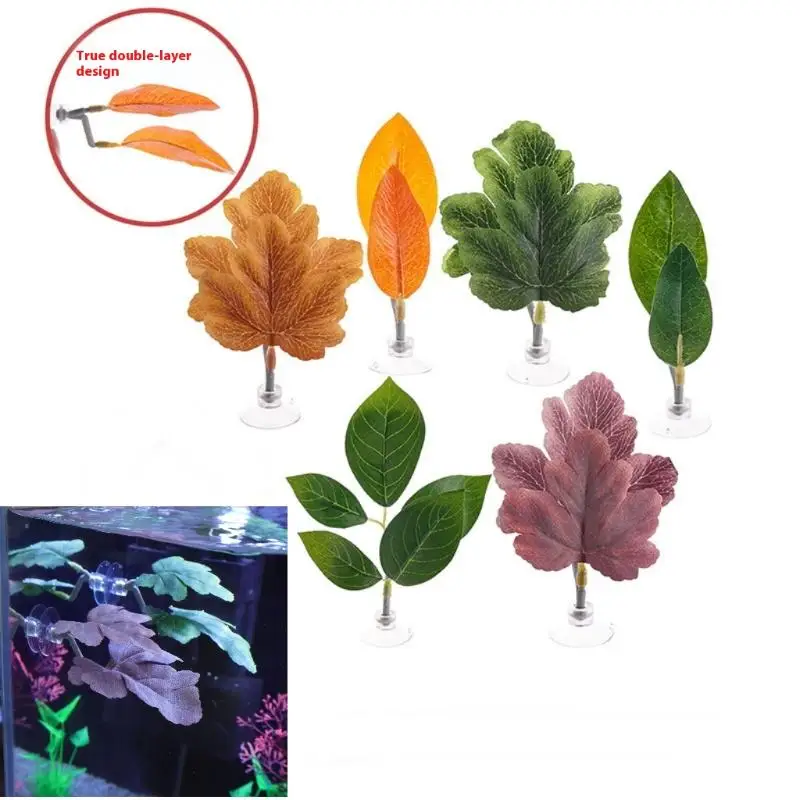 بيتا أرجوحة أوراق السمك حوض ال - مراجعة Planted Aquarium For Betta وسعره