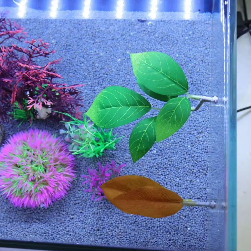 بيتا أرجوحة أوراق السمك حوض ال - مراجعة Planted Aquarium For Betta وسعره