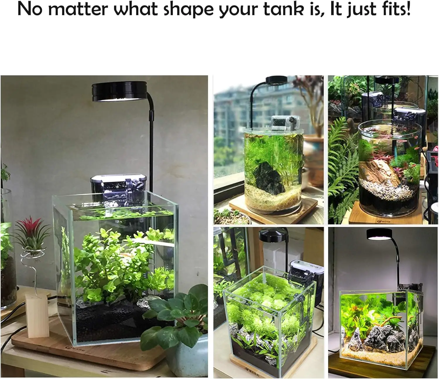 ضوء LED لحوض السمك مع لوح من ا - مراجعة Planted Aquarium For Betta وسعره