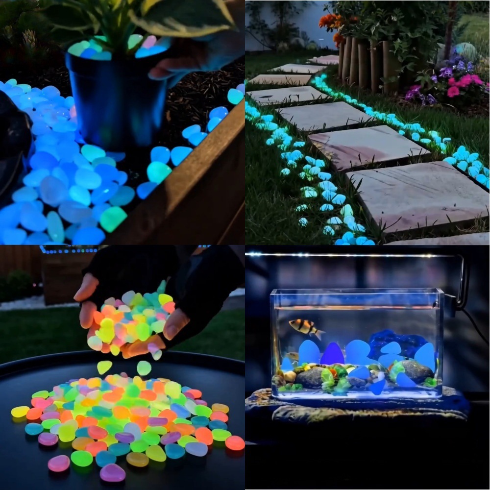 حصى ملونة مضيئة في الظلام لتزي - مراجعة Aquarium Planted Plants وسعره