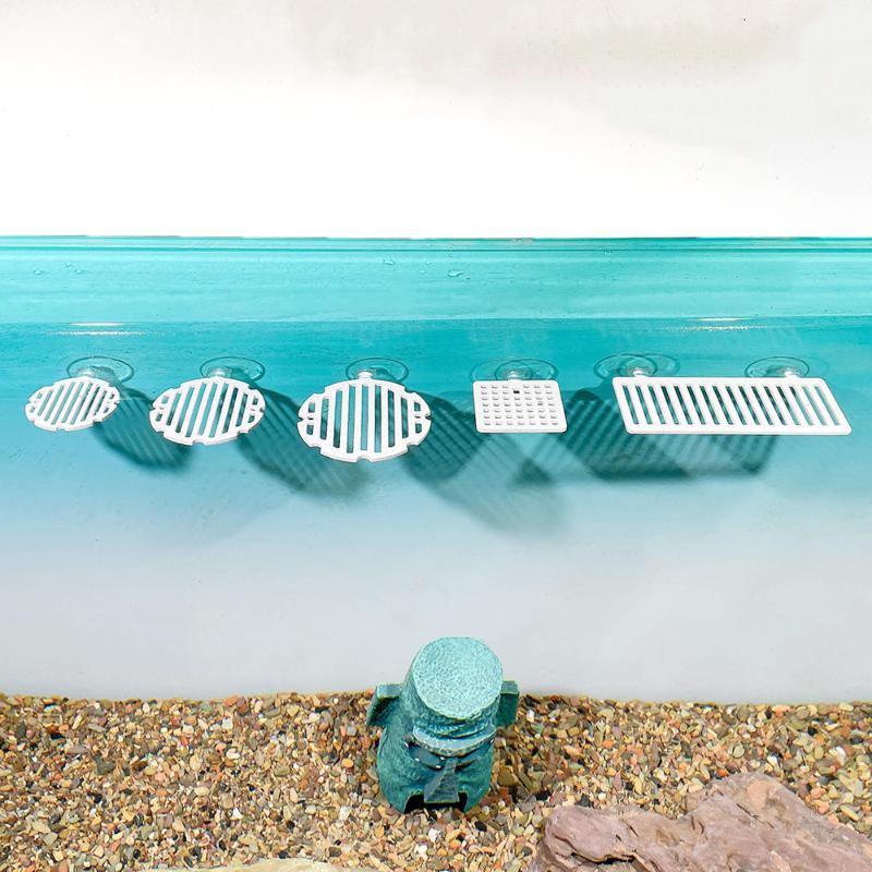 حوض سمك بلاستيكي، شبكة صناعية، - مراجعة Planted Aquarium For Betta وسعره