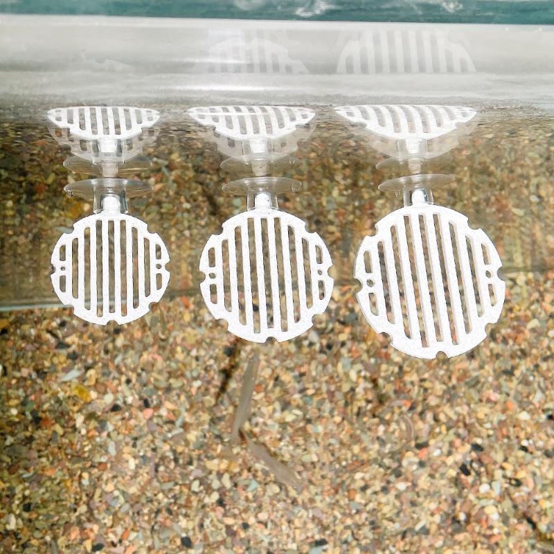 حوض سمك بلاستيكي، شبكة صناعية، - مراجعة Planted Aquarium For Betta وسعره