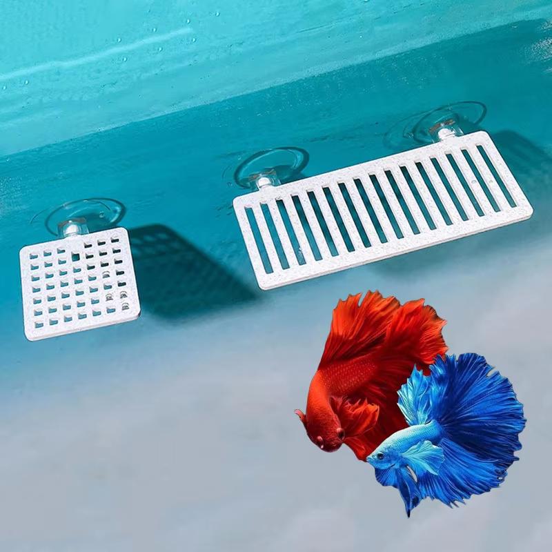 حوض سمك بلاستيكي، شبكة صناعية، - مراجعة Planted Aquarium For Betta وسعره