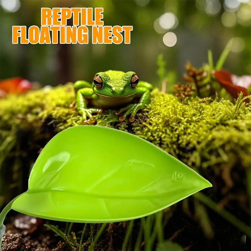 إكسسوارات أحواض السمك: أوراق ص - مراجعة Planted Aquarium For Betta وسعره
