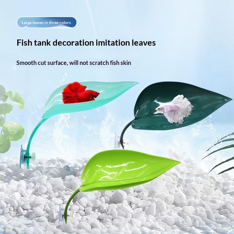 إكسسوارات أحواض السمك: أوراق ص - مراجعة Planted Aquarium For Betta وسعره