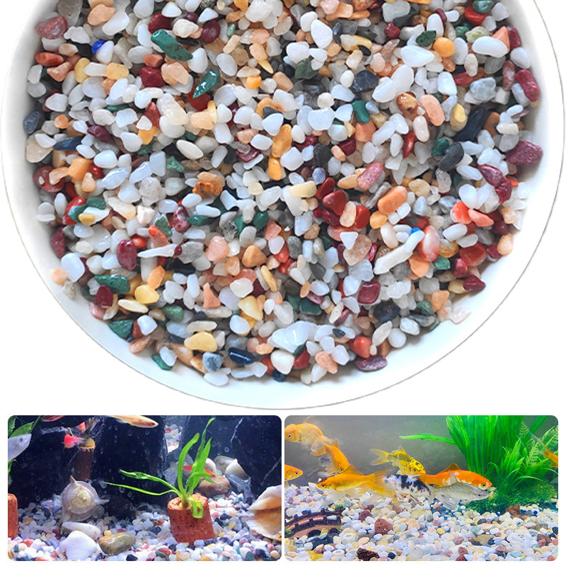 حصى طبيعي 200~1000 جرام لتزيين - مراجعة Aquarium Plant Gravel وسعره