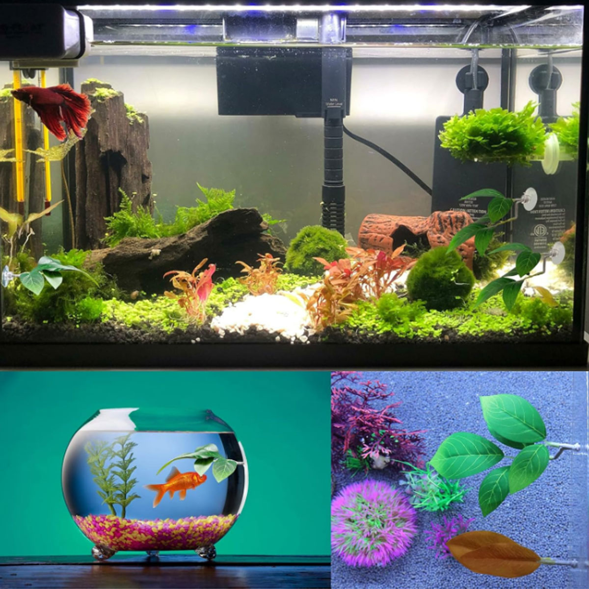 1 قطعة أرجوحة سمك البيتا، ديكو - مراجعة Planted Aquarium For Betta وسعره